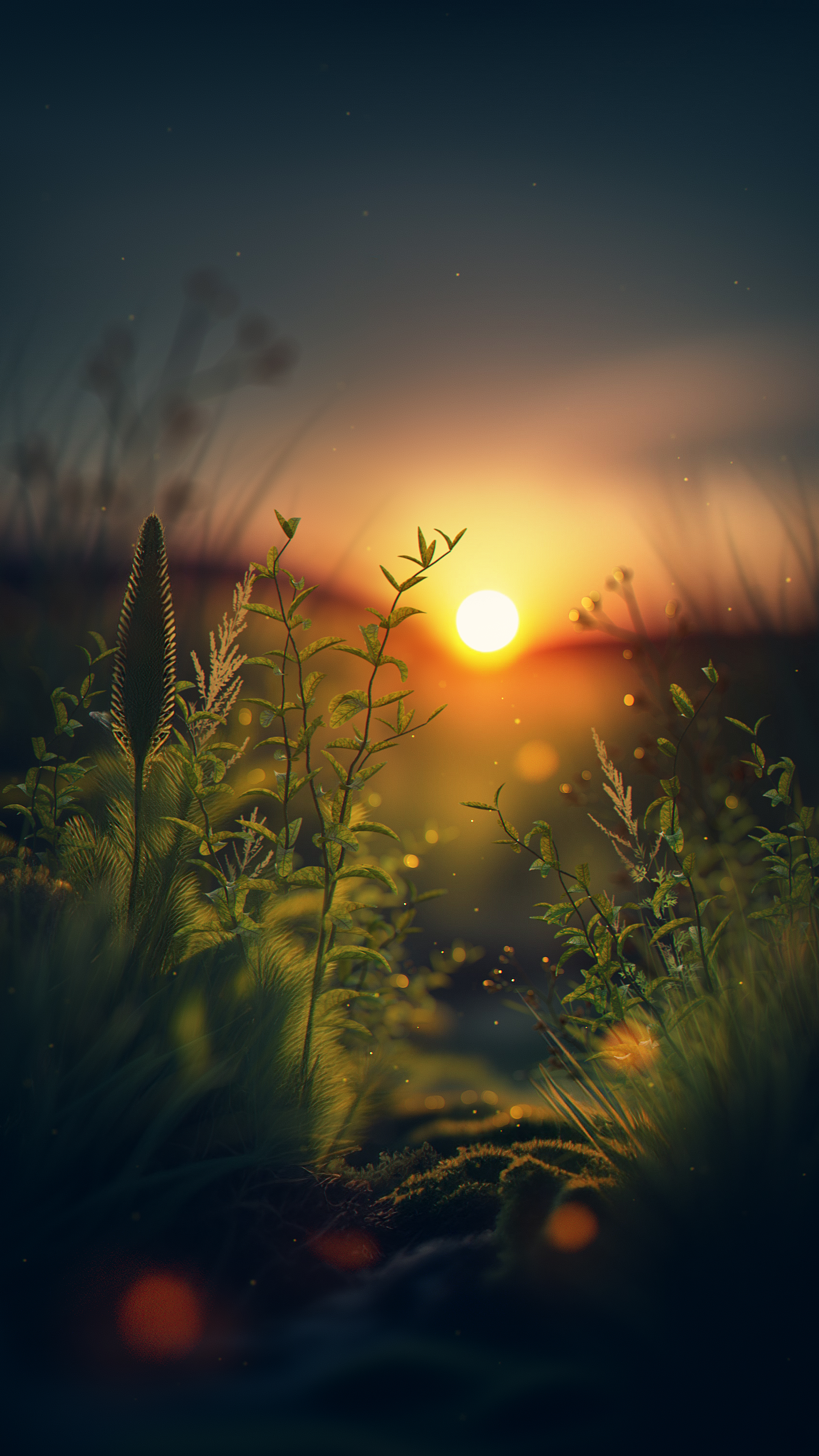 Golden Sunset Meadow Glow - sunset wallpaper for Ghetto Wallpapers
