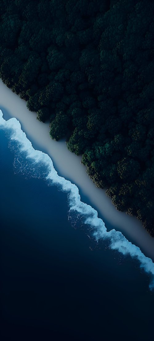 Aerial Forest Ocean Shore