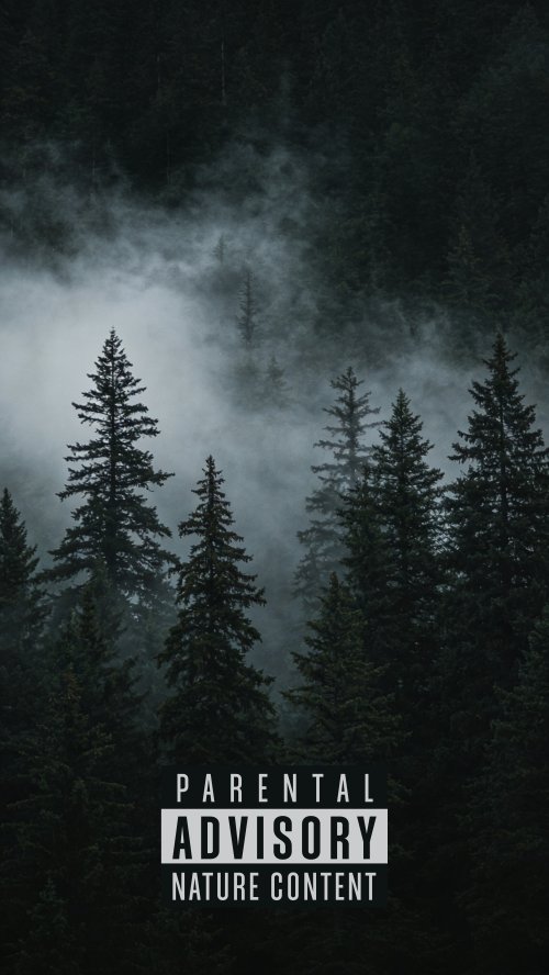 Misty Forest Nature Content