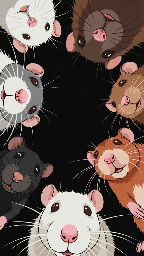 Cute Group Of Rats - Related Ghetto Wallpapers wallpaper