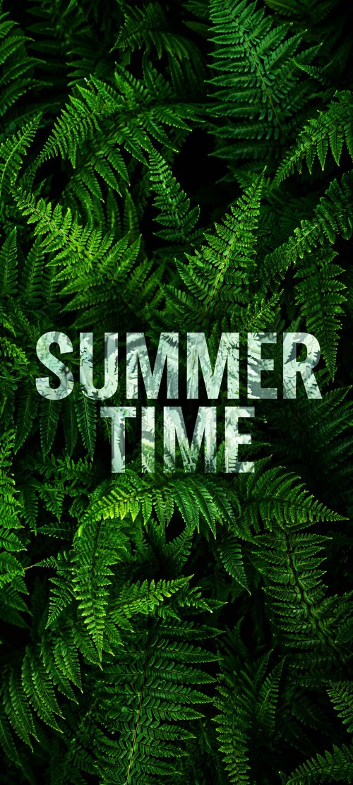 Summer Time Fern Leaves - plant Wallpaper