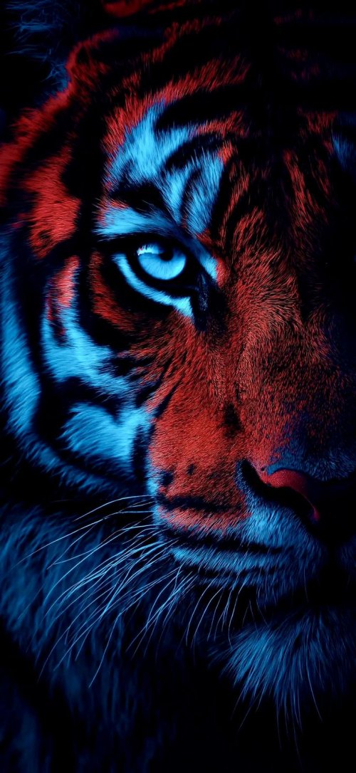 Neon Glowing Tiger Portrait - Related Ghetto Wallpapers wallpaper