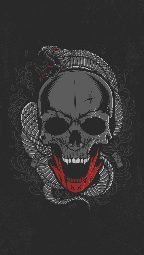 Snake Coiled Around Skull - skull Wallpaper