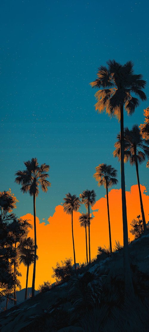 Sunset Palm Tree Silhouette - tropical Wallpaper
