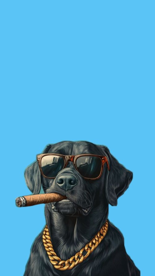 Cool Gangster Dog Wallpaper - Related Ghetto Wallpapers wallpaper