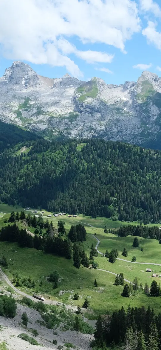 Alpine Valley Vista