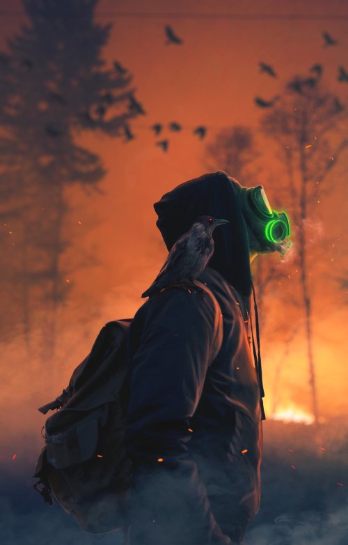Apocalyptic Survivor with Raven