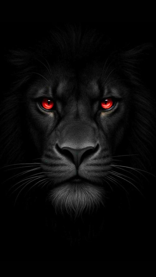 Black Lion Red Eyes - Related Ghetto Wallpapers wallpaper