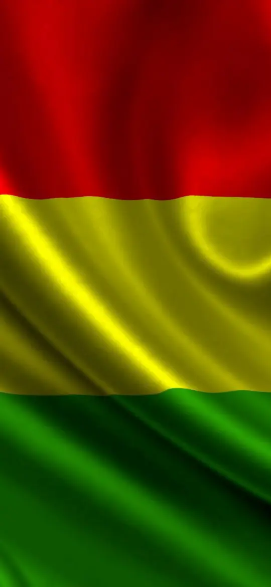 Bolivian Flag Waving