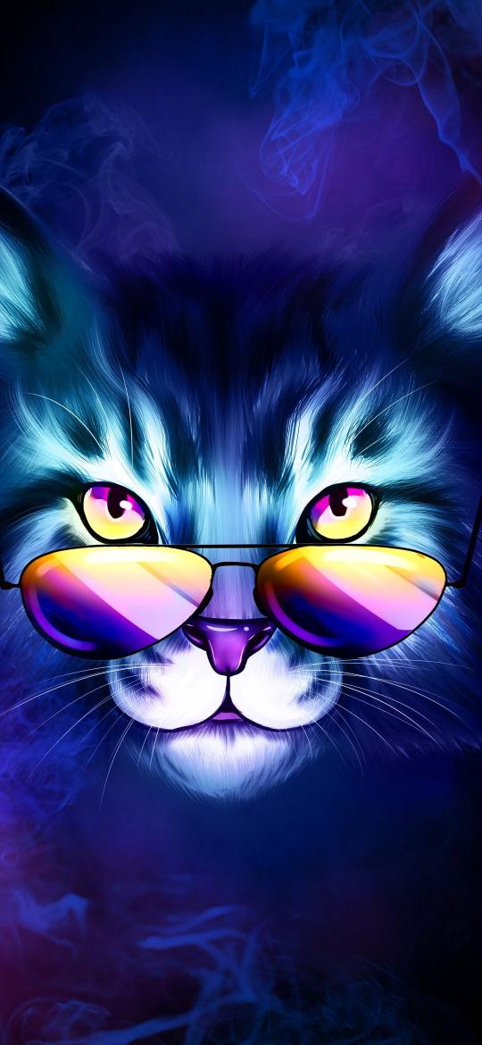 Cool Cat with Shades - Related 4K Wallpapers wallpaper