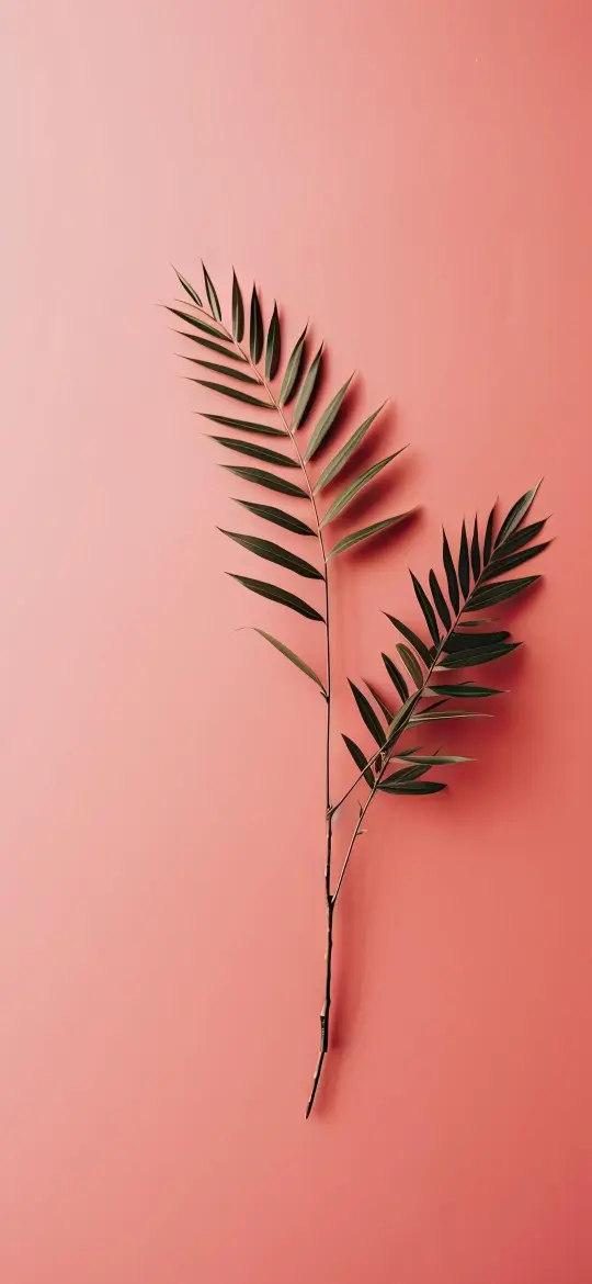 Coral Palm Leaf