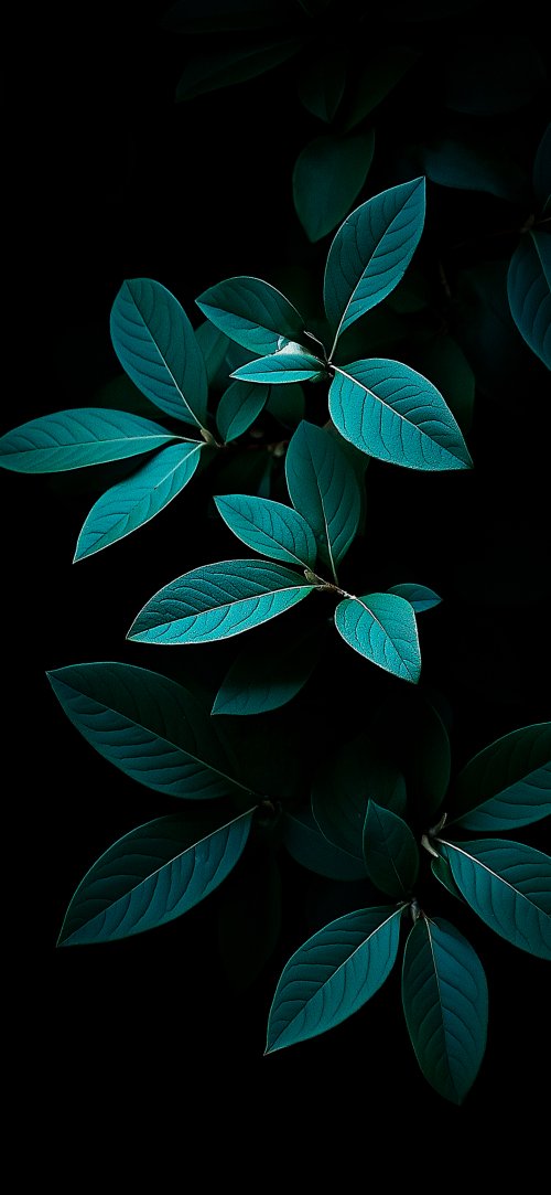 Dark Teal Leaves - leaf Wallpaper