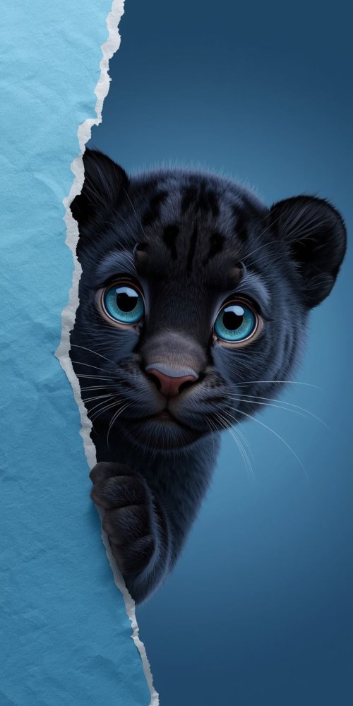 Cute Black Panther Cub - Related StockWalls wallpaper