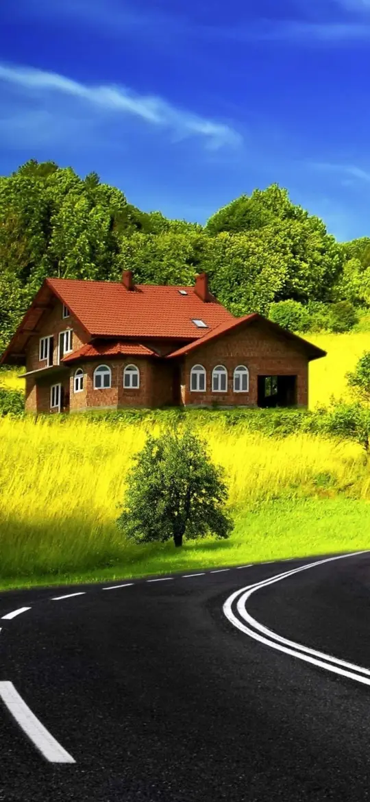 House on the Hillside