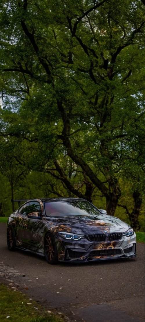 Marble BMW in Nature