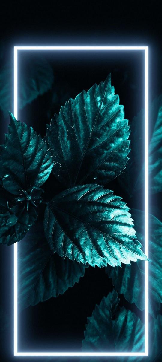 Neon Framed Teal Leaves