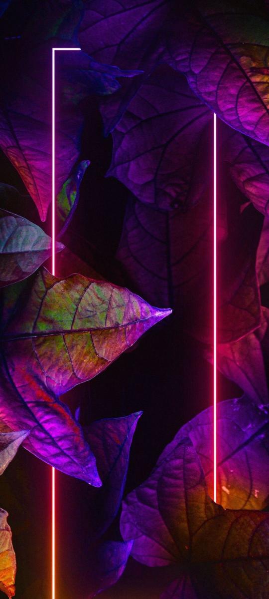Neon Leaves Abstract - Related 4K Wallpapers wallpaper
