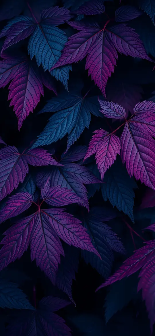 Purple and Blue Leaves - Related Ghetto Wallpapers wallpaper