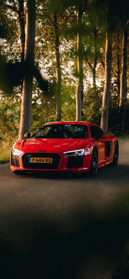 Red Audi R8 Forest - Related 4K Wallpapers wallpaper