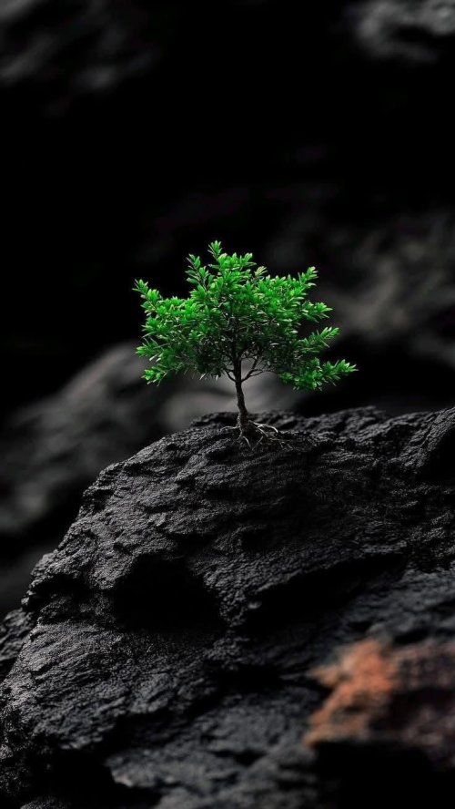 Resilient Green Sprout - nature Wallpaper