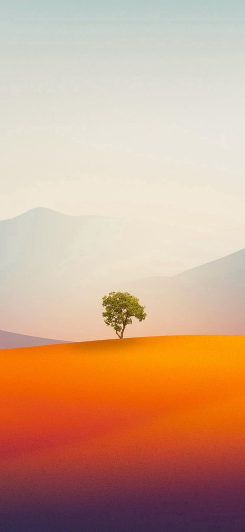 Solitary Tree Landscape - landscape Wallpaper