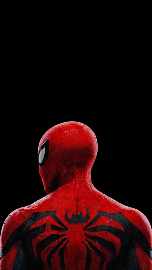 Spider-Man Back View - Related Dark Wallpapers wallpaper