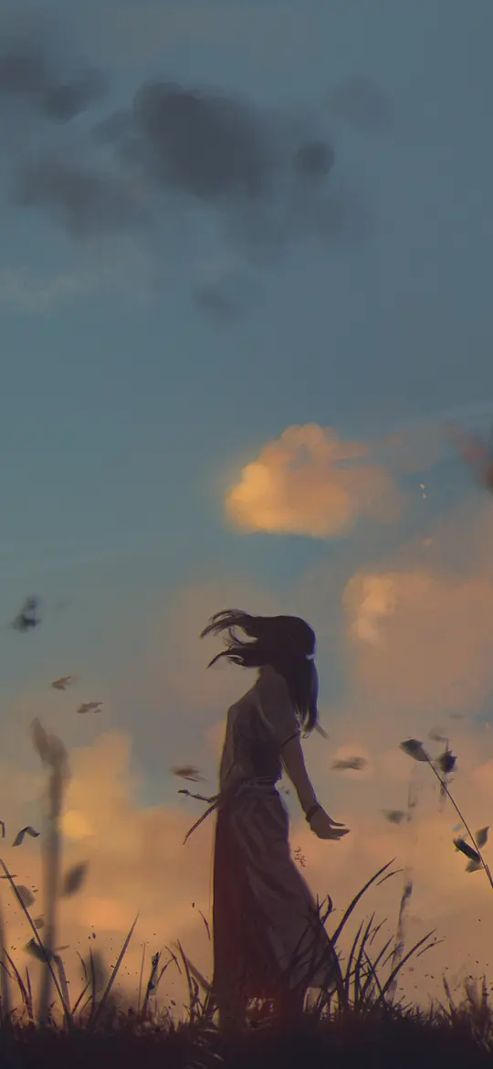 Sunset Meadow Wanderer - Related 4K Wallpapers wallpaper