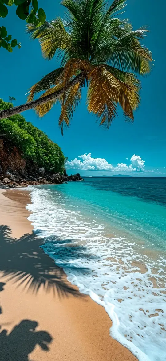Tropical Beach Paradise - Related Dark Wallpapers wallpaper