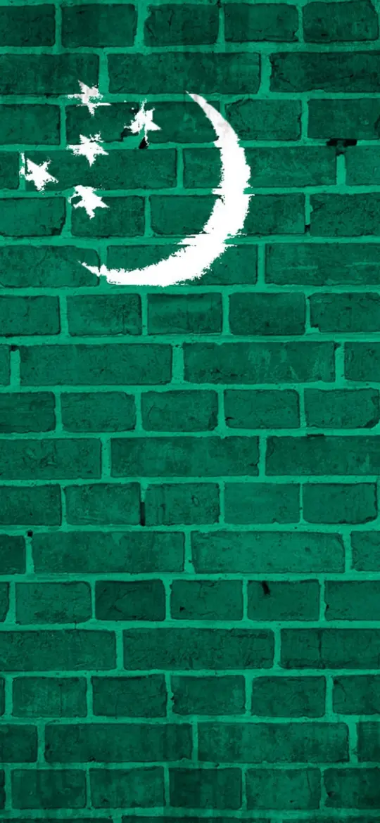 Turkmenistan Flag Brick Wall