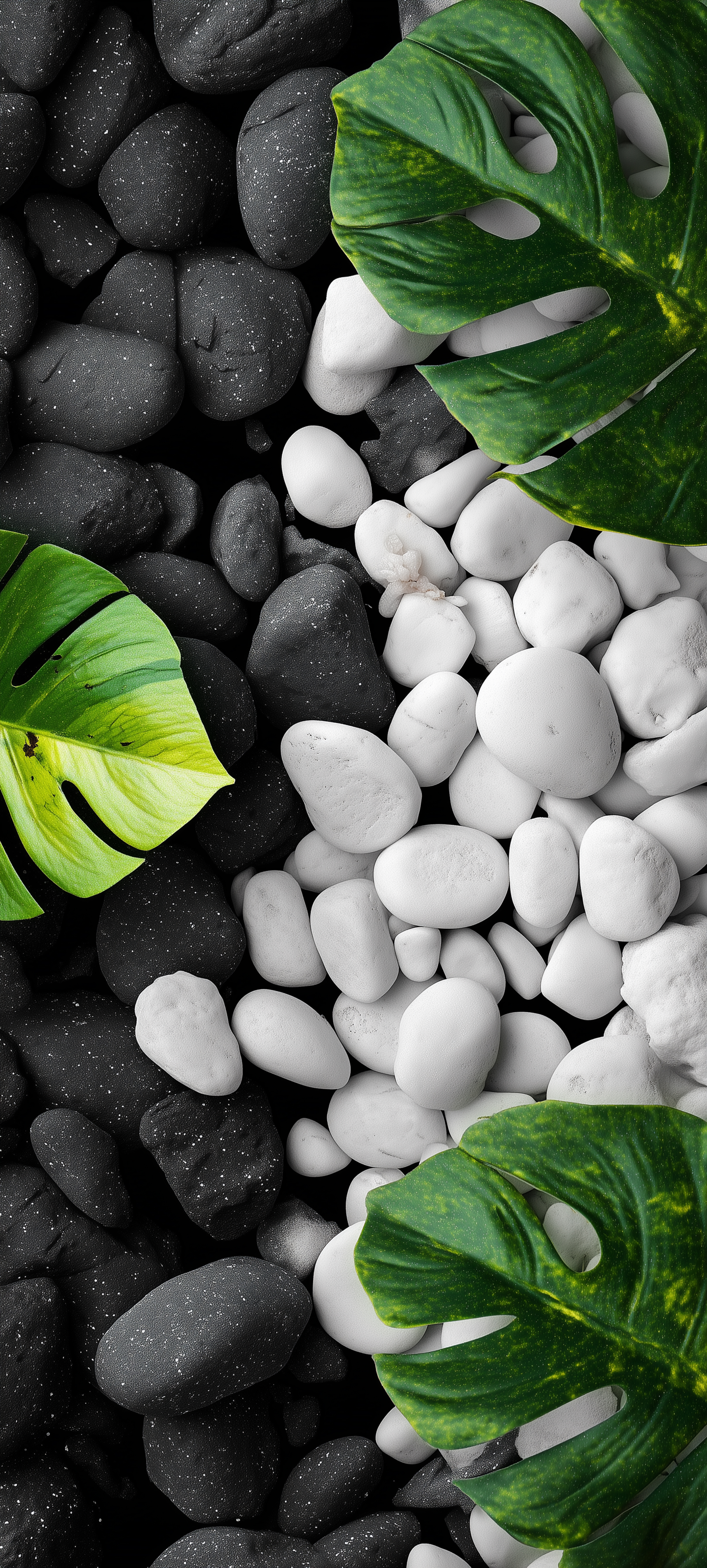 Monstera Leaves and Stones - botanical wallpaper for StockWalls