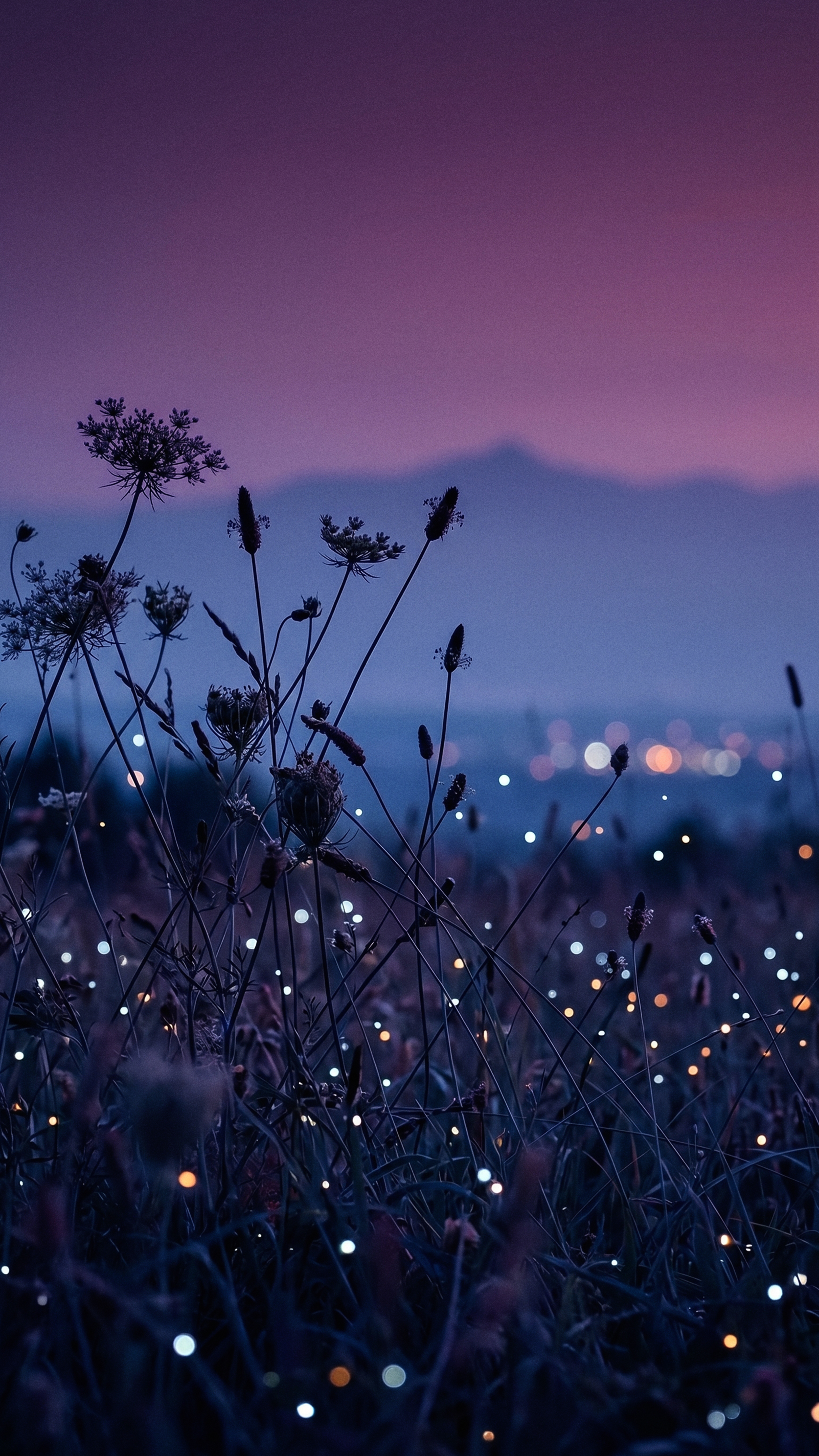 Twilight Wildflower Meadow Glow - nature wallpaper for StockWalls