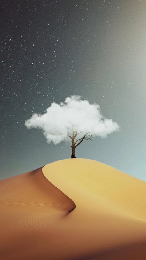 Cloud Tree Desert Landscape - surreal Wallpaper