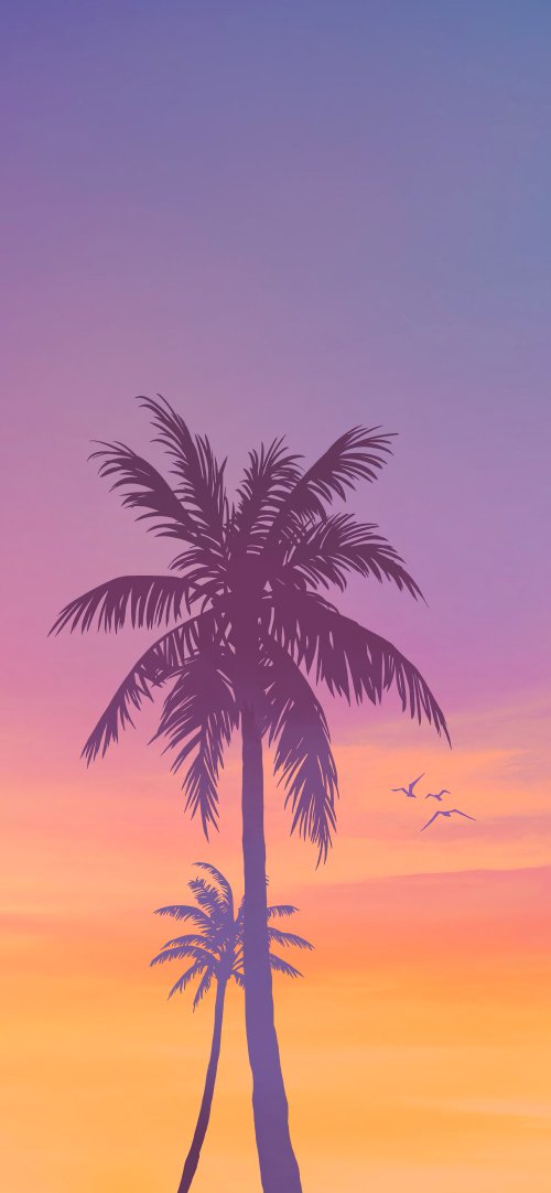 Palm Trees Sunset Silhouette - Related Ghetto Wallpapers wallpaper