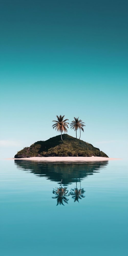Tropical Island Palm Reflection - Related Ghetto Wallpapers wallpaper