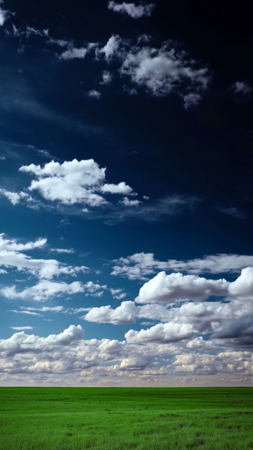 Vibrant Green Meadow Sky - Related Ghetto Wallpapers wallpaper