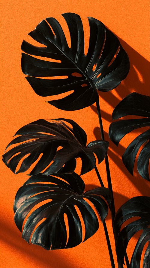 Black Monstera Orange Wall - Related Darkify wallpaper