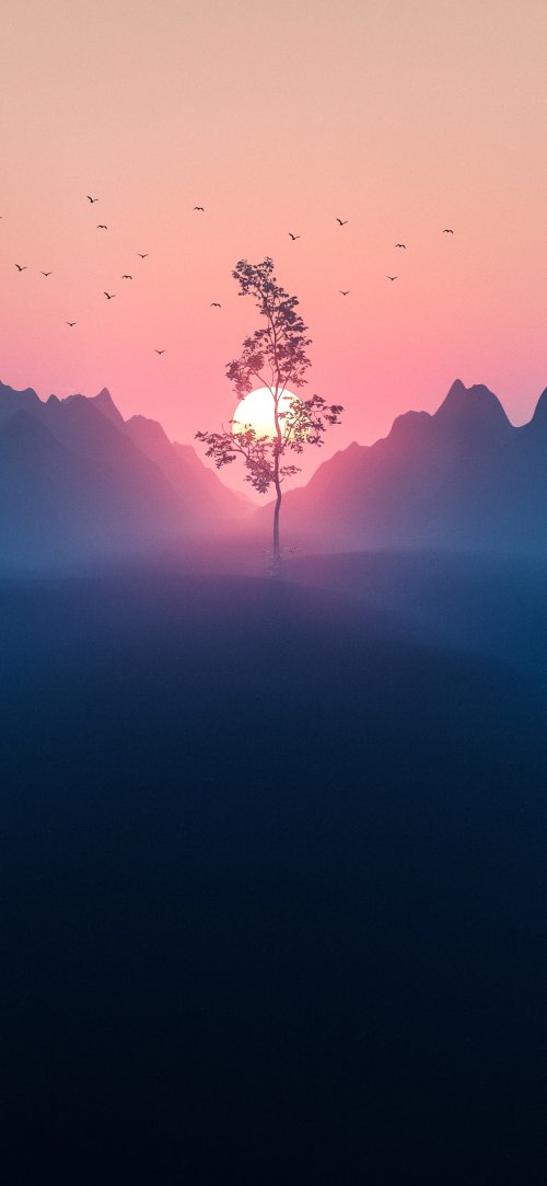 Lonely Tree Sunset Silhouette - Related Ghetto Wallpapers wallpaper
