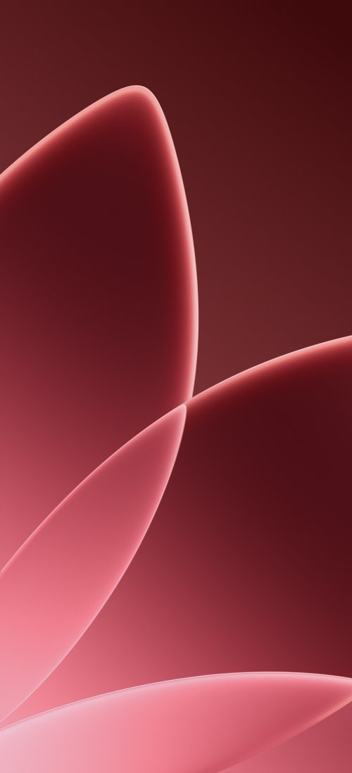 Minimalist Red Abstract Curves