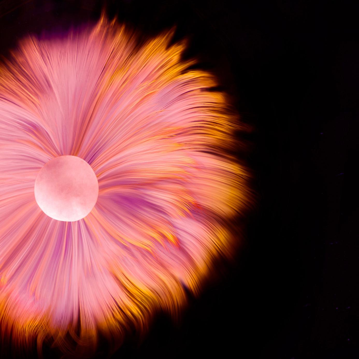 Abstract Fiery Bloom - Related StockWalls wallpaper
