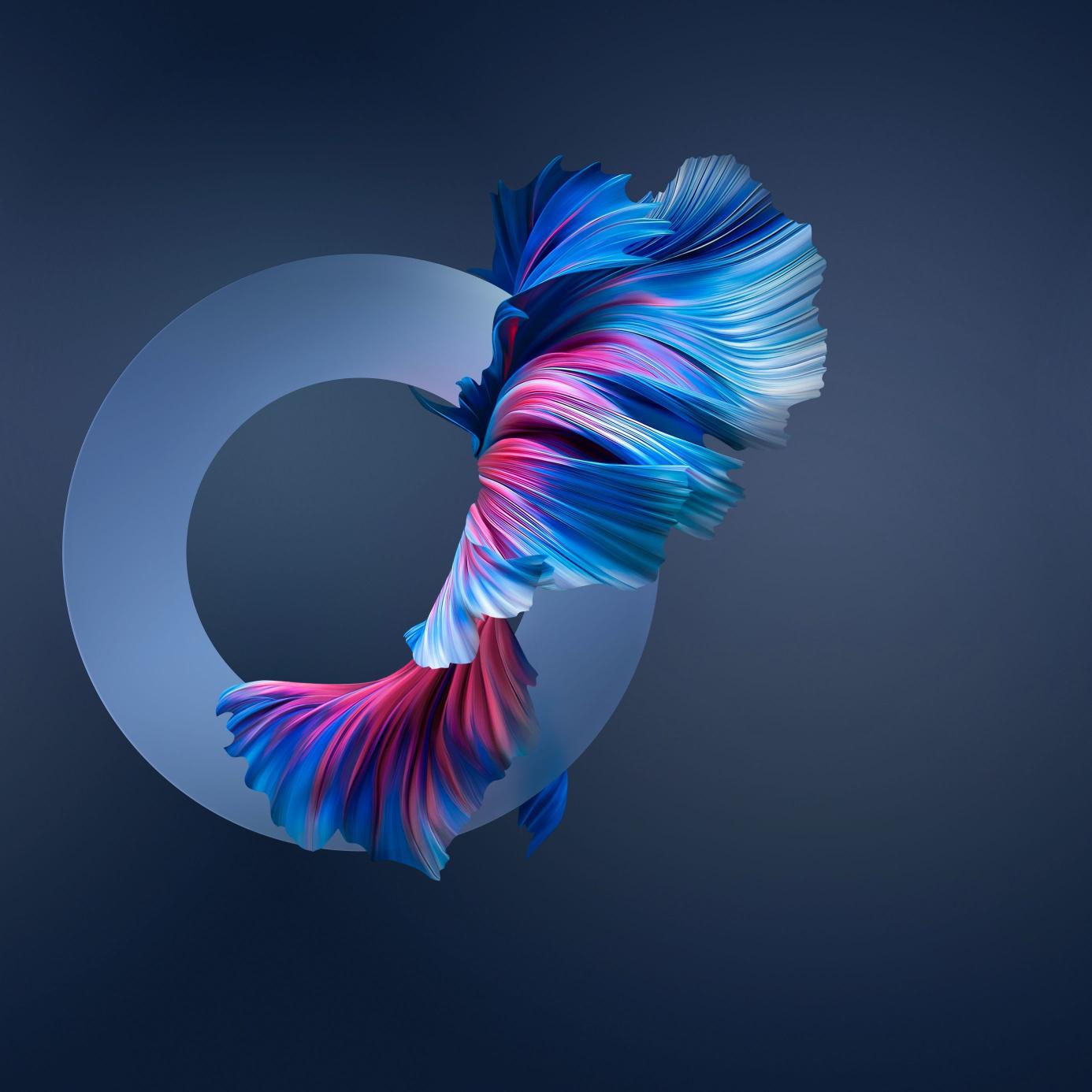 Abstract Flowing Fins