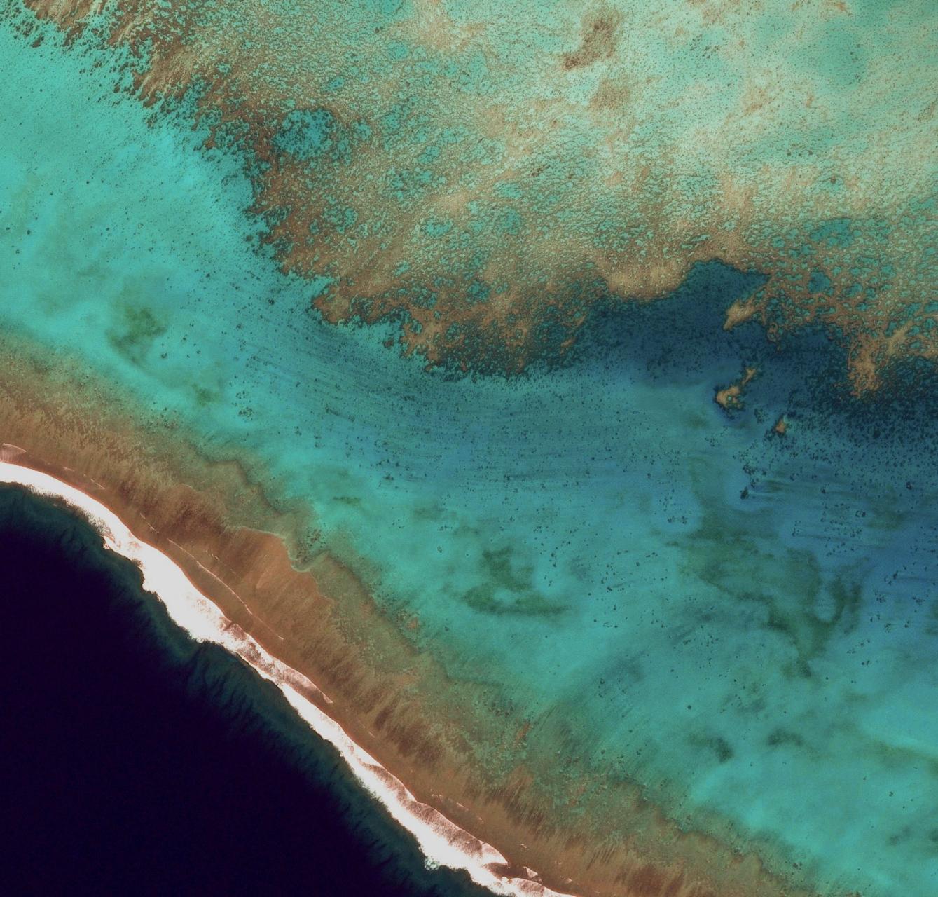 Aerial Coral Reef - Android OS Wallpaper