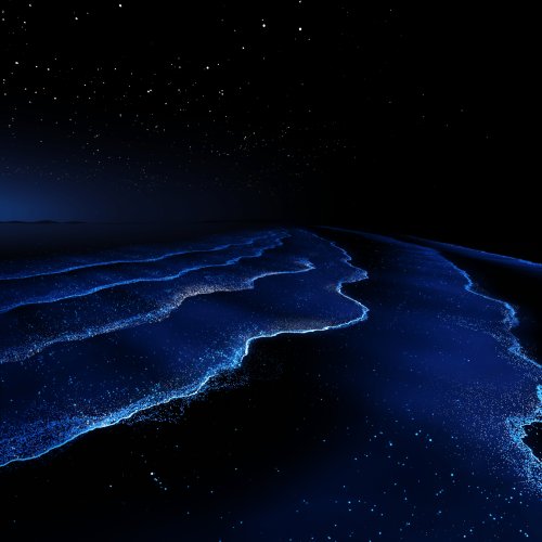Bioluminescent Beach Huawei Wallpaper