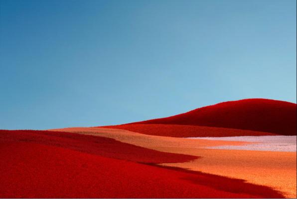 Crimson Rolling Hills