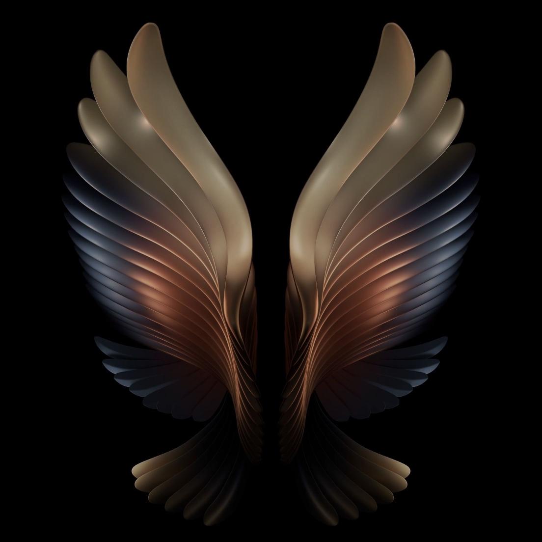 Elegant Metallic Wings - Related Ghetto Wallpapers wallpaper