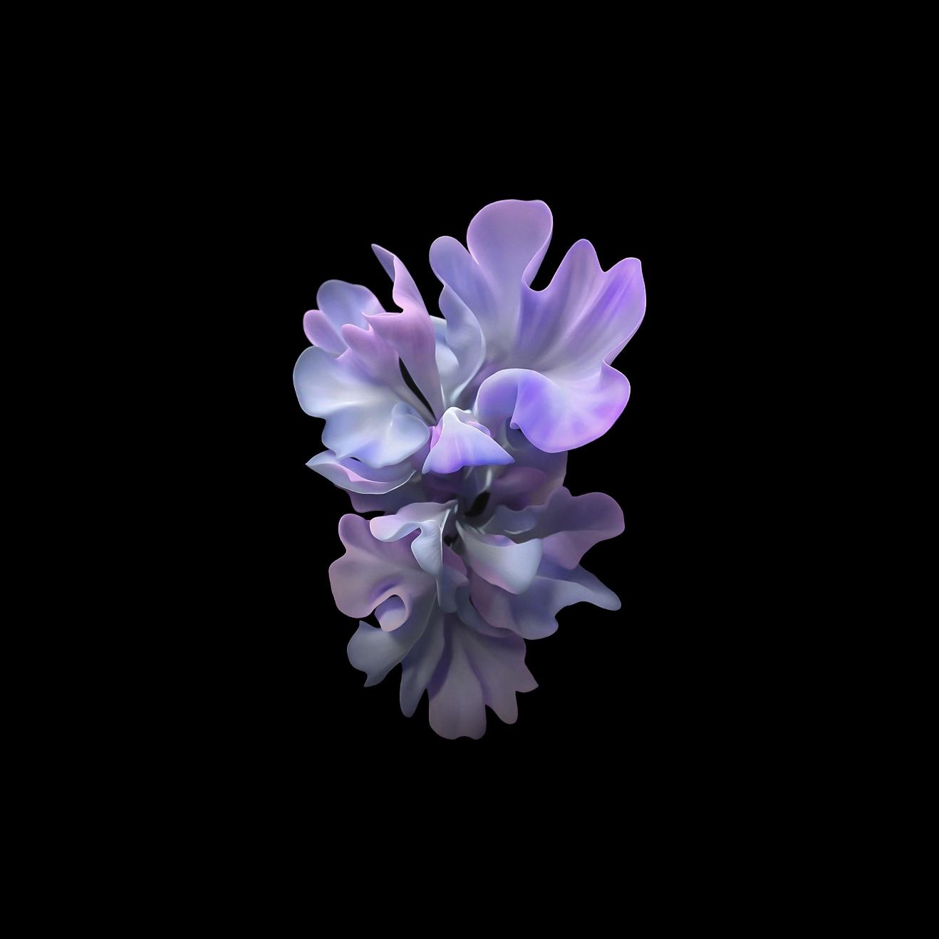 Ethereal Purple Bloom - Related StockWalls wallpaper