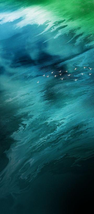 Flamingos Over Teal Water - Related  wallpaper