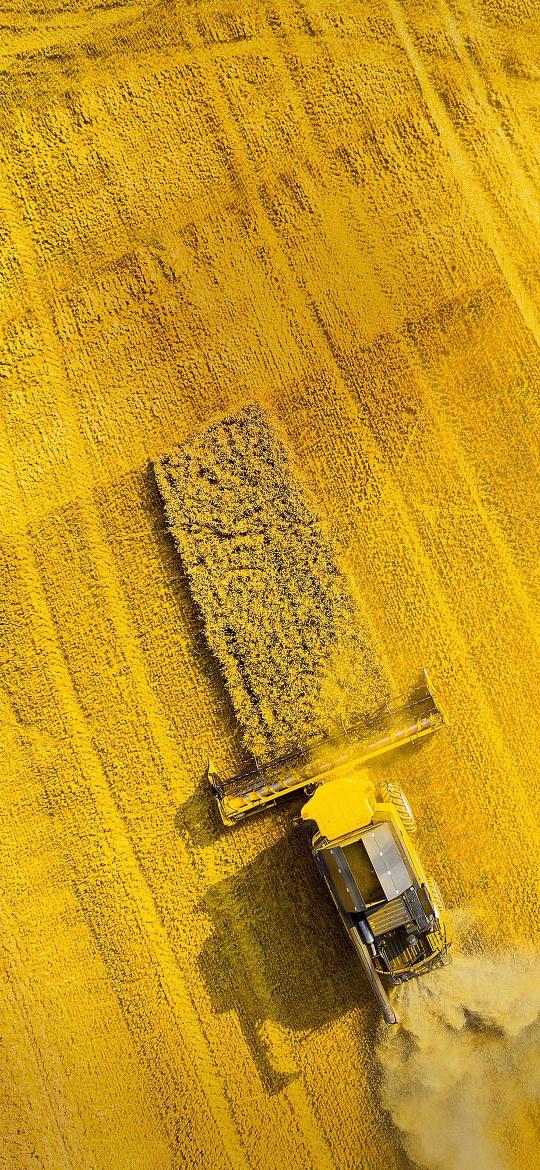 Golden Harvest Aerial View - Related Ghetto Wallpapers wallpaper