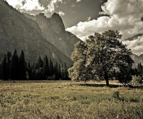 Majestic Mountain Meadow - Related StockWalls wallpaper