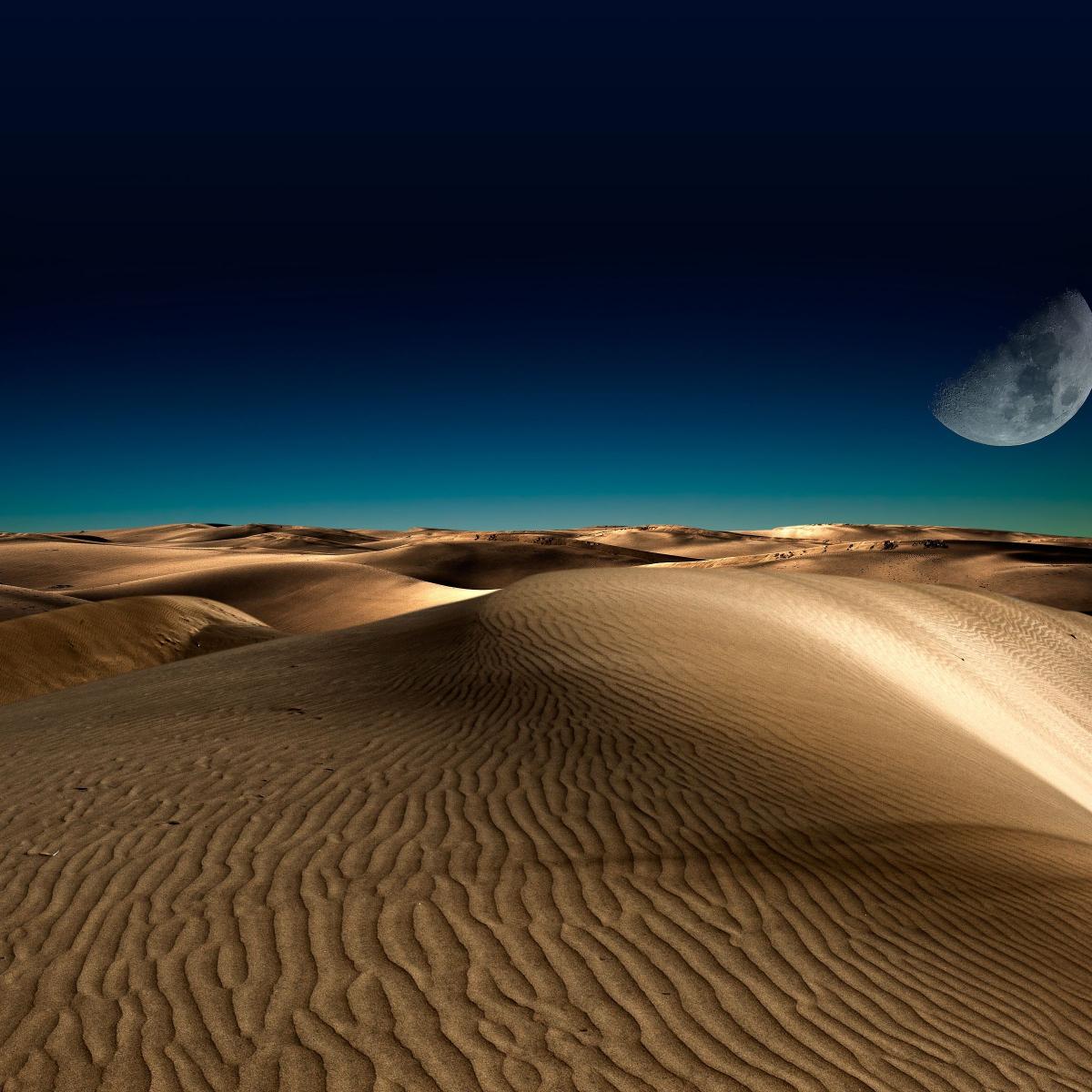 Moonlit Desert Dunes - Related StockWalls wallpaper