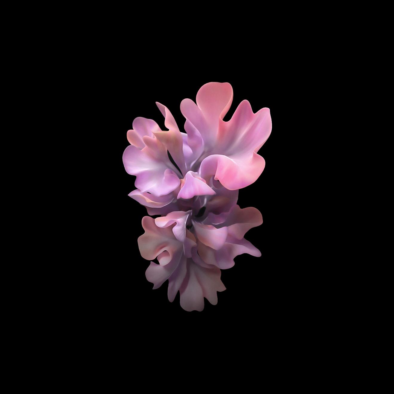 Pink Petal Bloom - Samsung Wallpaper